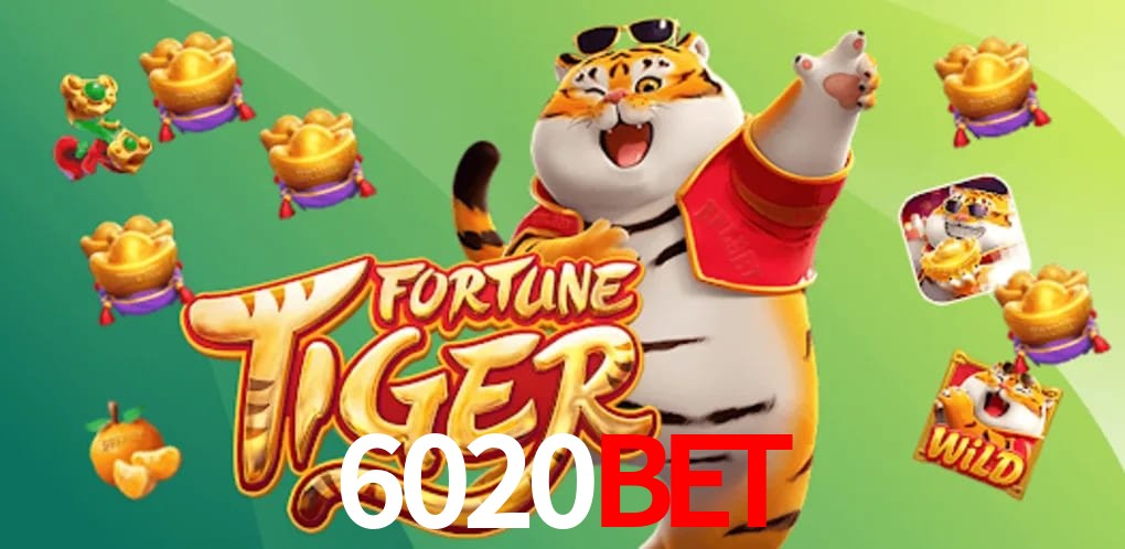 Sports Statistics 6020bet